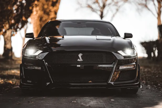 Lapilanders Kasyno Aplikacja Android/iOS